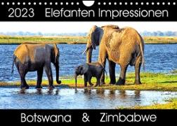Elefanten Impressionen (Wandkalender 2023 DIN A4 quer)