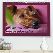 Kelly, der Irish Terrier - innen und außen aus Gold (Premium, hochwertiger DIN A2 Wandkalender 2023, Kunstdruck in Hochglanz)
