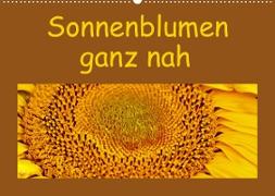Sonnenblumen - ganz nah (Wandkalender 2023 DIN A2 quer)