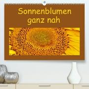 Sonnenblumen - ganz nah (Premium, hochwertiger DIN A2 Wandkalender 2023, Kunstdruck in Hochglanz)
