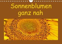Sonnenblumen - ganz nah (Wandkalender 2023 DIN A4 quer)