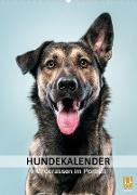 Hundekalender - Hunderassen im Portrait (Wandkalender 2023 DIN A2 hoch)