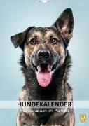 Hundekalender - Hunderassen im Portrait (Wandkalender 2023 DIN A3 hoch)