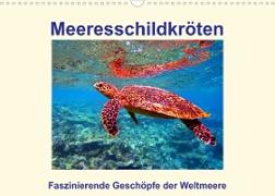 Meeresschildkröten ¿ Faszinierende Geschöpfe der Weltmeere (Wandkalender 2023 DIN A3 quer)