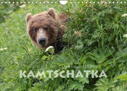 Aug in Aug mit den Braunbären in Kamtschatka (Wandkalender 2023 DIN A4 quer)