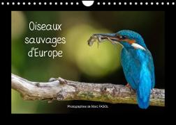 Oiseaux sauvages d'Europe (Calendrier mural 2023 DIN A4 horizontal)