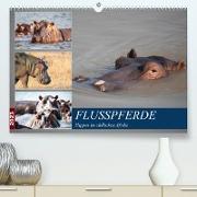Hippos im südlichen Afrika (Premium, hochwertiger DIN A2 Wandkalender 2023, Kunstdruck in Hochglanz)