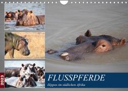 Hippos im südlichen Afrika (Wandkalender 2023 DIN A4 quer)