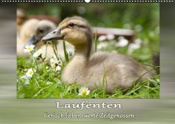 Laufenten - tierisch liebenswerte Zeitgenossen (Wandkalender 2023 DIN A2 quer)