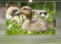 Laufenten - tierisch liebenswerte Zeitgenossen (Wandkalender 2023 DIN A4 quer)