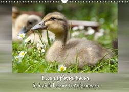 Laufenten - tierisch liebenswerte Zeitgenossen (Wandkalender 2023 DIN A3 quer)