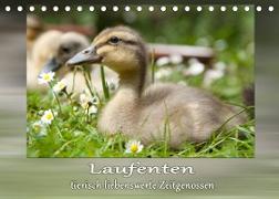 Laufenten - tierisch liebenswerte Zeitgenossen (Tischkalender 2023 DIN A5 quer)