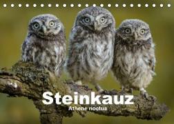 Steinkäuze (Athene noctua) (Tischkalender 2023 DIN A5 quer)