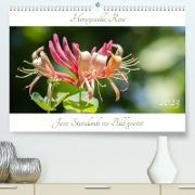 Honeysuckle Rose - Jazz-Standards ins Bild gesetzt (Premium, hochwertiger DIN A2 Wandkalender 2023, Kunstdruck in Hochglanz)