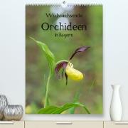 Wildwachsende Orchideen in Bayern (Premium, hochwertiger DIN A2 Wandkalender 2023, Kunstdruck in Hochglanz)