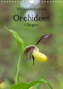 Wildwachsende Orchideen in Bayern (Wandkalender 2023 DIN A4 hoch)