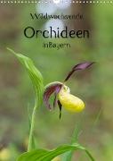 Wildwachsende Orchideen in Bayern (Wandkalender 2023 DIN A3 hoch)