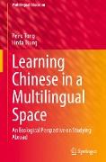 Learning Chinese in a Multilingual Space