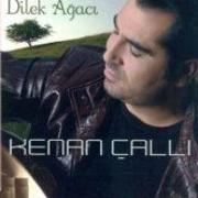 Dilek Agaci CD
