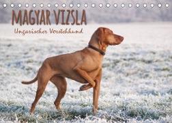 Magyar Vizsla - Ungarischer Vorstehhund (Tischkalender 2023 DIN A5 quer)