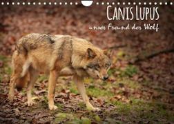 Canis Lupus - unser Freund der Wolf (Wandkalender 2023 DIN A4 quer)