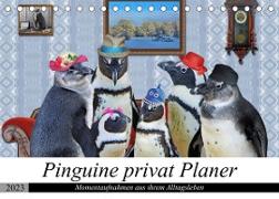 Pinguine privat Planer (Tischkalender 2023 DIN A5 quer)