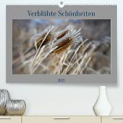 Verblühte Schönheiten (Premium, hochwertiger DIN A2 Wandkalender 2023, Kunstdruck in Hochglanz)