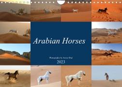 Arabian Horses (Wall Calendar 2023 DIN A4 Landscape)