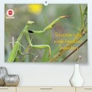 GEOclick Lernkalender: Insekten (Premium, hochwertiger DIN A2 Wandkalender 2023, Kunstdruck in Hochglanz)