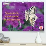 GEOclick Lernkalender: Steckbriefe einheimischer Schmetterlinge (Premium, hochwertiger DIN A2 Wandkalender 2023, Kunstdruck in Hochglanz)