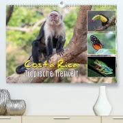 Costa Rica - Tropische Tierwelt (Premium, hochwertiger DIN A2 Wandkalender 2023, Kunstdruck in Hochglanz)