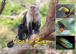 Costa Rica - Tropische Tierwelt (Wandkalender 2023 DIN A4 quer)