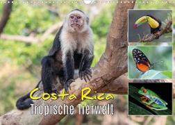Costa Rica - Tropische Tierwelt (Wandkalender 2023 DIN A3 quer)