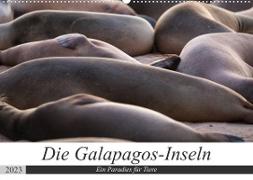 Galapagos-Inseln - Ein Paradies für Tiere (Wandkalender 2023 DIN A2 quer)