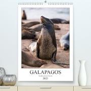Galapagos - Atemberaubende Tierwelt (Premium, hochwertiger DIN A2 Wandkalender 2023, Kunstdruck in Hochglanz)