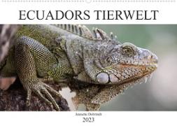 Ecuadors Tierwelt (Wandkalender 2023 DIN A2 quer)