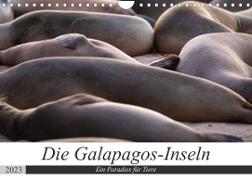 Galapagos-Inseln - Ein Paradies für Tiere (Wandkalender 2023 DIN A4 quer)