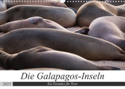 Galapagos-Inseln - Ein Paradies für Tiere (Wandkalender 2023 DIN A3 quer)