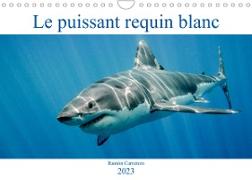 Le puissant requin blanc (Calendrier mural 2023 DIN A4 horizontal)