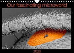 Our fascinating microworld (Wall Calendar 2023 DIN A4 Landscape)