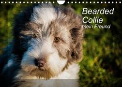 Bearded Collie, mein Freund (Wandkalender 2023 DIN A4 quer)