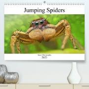 Jumping Spiders (Premium, hochwertiger DIN A2 Wandkalender 2023, Kunstdruck in Hochglanz)