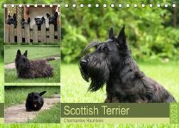 Scottish Terrier - Charmantes Rauhbein (Tischkalender 2023 DIN A5 quer)