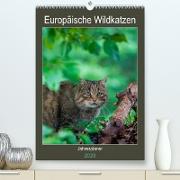 Europäische Wildkatzen - Jahresplaner (Premium, hochwertiger DIN A2 Wandkalender 2023, Kunstdruck in Hochglanz)