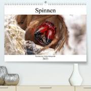Faszination Makrofotografie: Spinnen (Premium, hochwertiger DIN A2 Wandkalender 2023, Kunstdruck in Hochglanz)