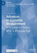 Advances in Economic Measurement