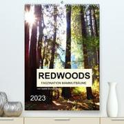 Redwoods - Faszination Mammutbäume (Premium, hochwertiger DIN A2 Wandkalender 2023, Kunstdruck in Hochglanz)
