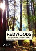 Redwoods - Faszination Mammutbäume (Wandkalender 2023 DIN A4 hoch)