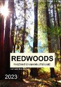 Redwoods - Faszination Mammutbäume (Wandkalender 2023 DIN A3 hoch)