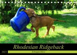 Rhodesian Ridgeback - Schnappschüsse - (Tischkalender 2023 DIN A5 quer)